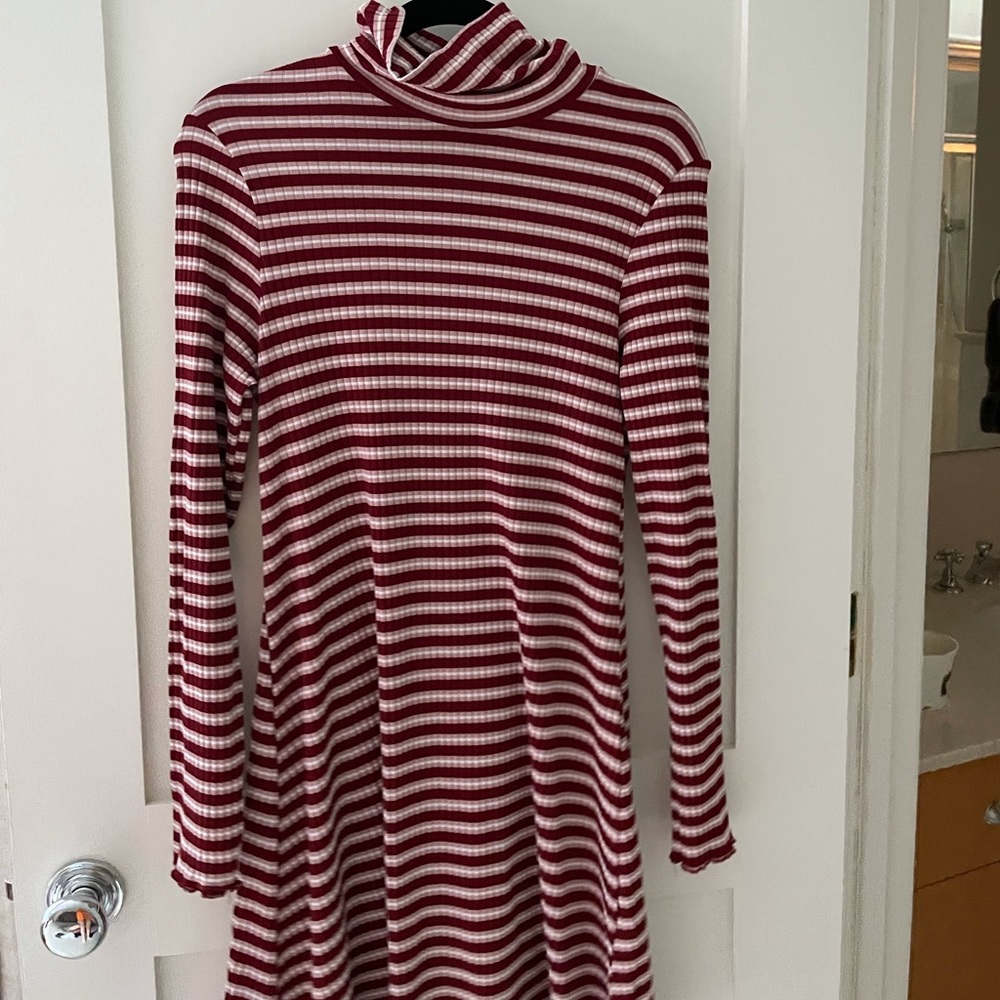 Ribbed turtleneck dress
